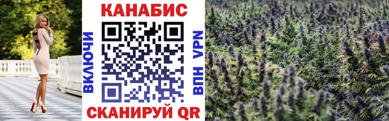 Шишки марихуана конопля  Купить закладки  Заинск 